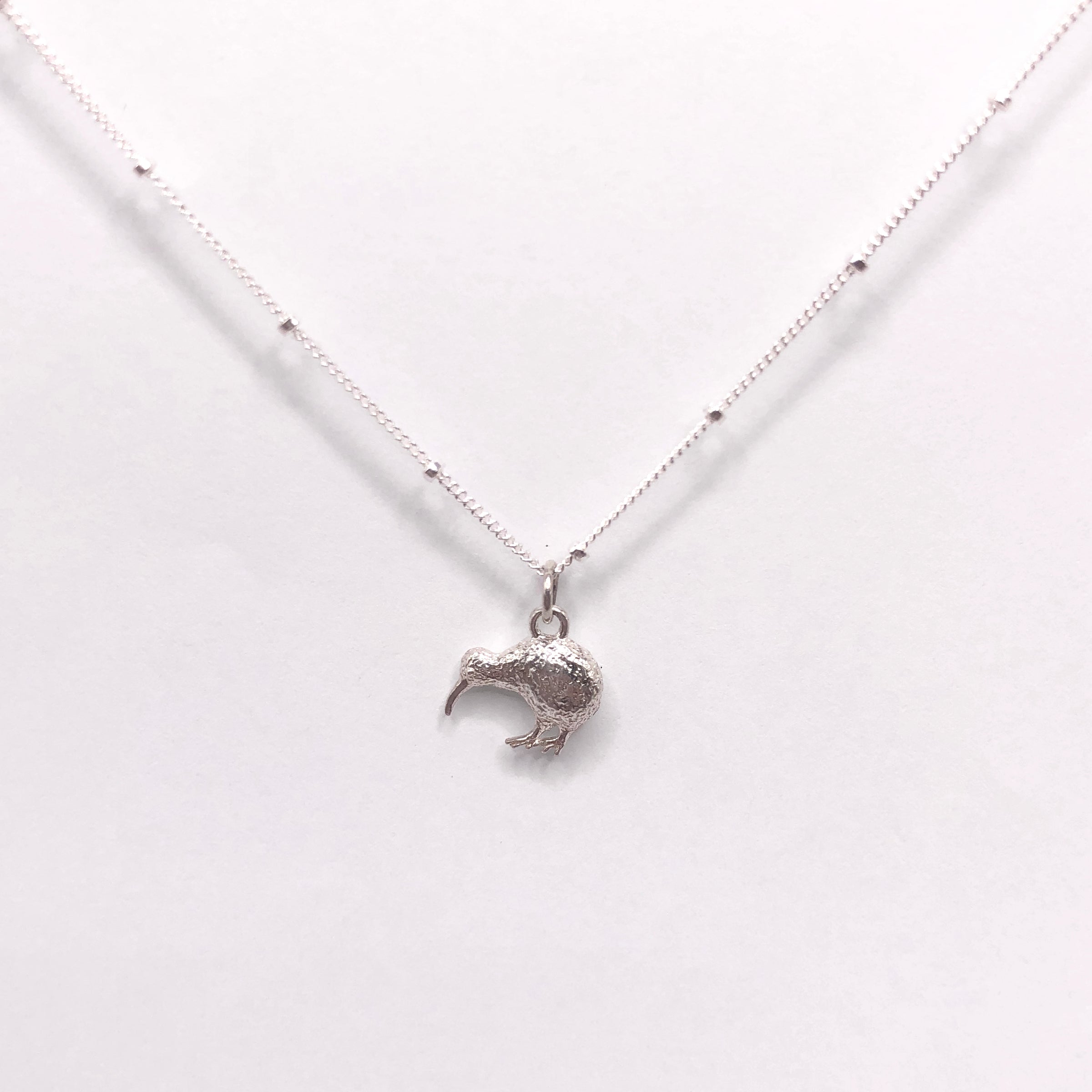 Little Kiwi AW Art Design